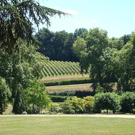 Le Logis Dans La Place De Deux Thouarcé